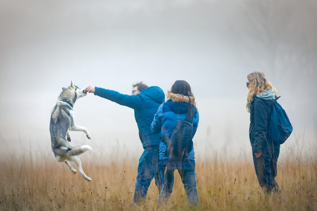 Reportage d’activité montrant une interaction avec un chien pendant une séance professionnelle en extérieur.