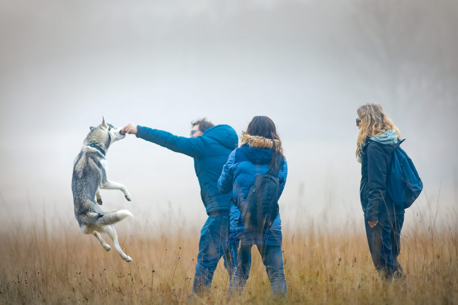Reportage d’activité montrant une interaction avec un chien pendant une séance professionnelle en extérieur.